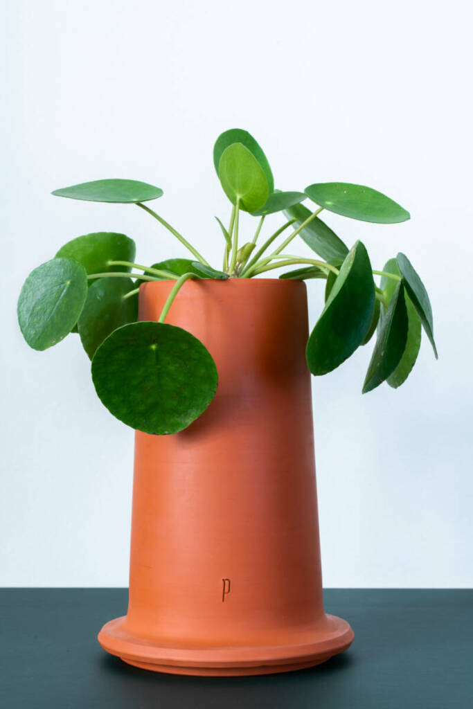 Photographe publicité et produits : Le Pack le pack bd 03144