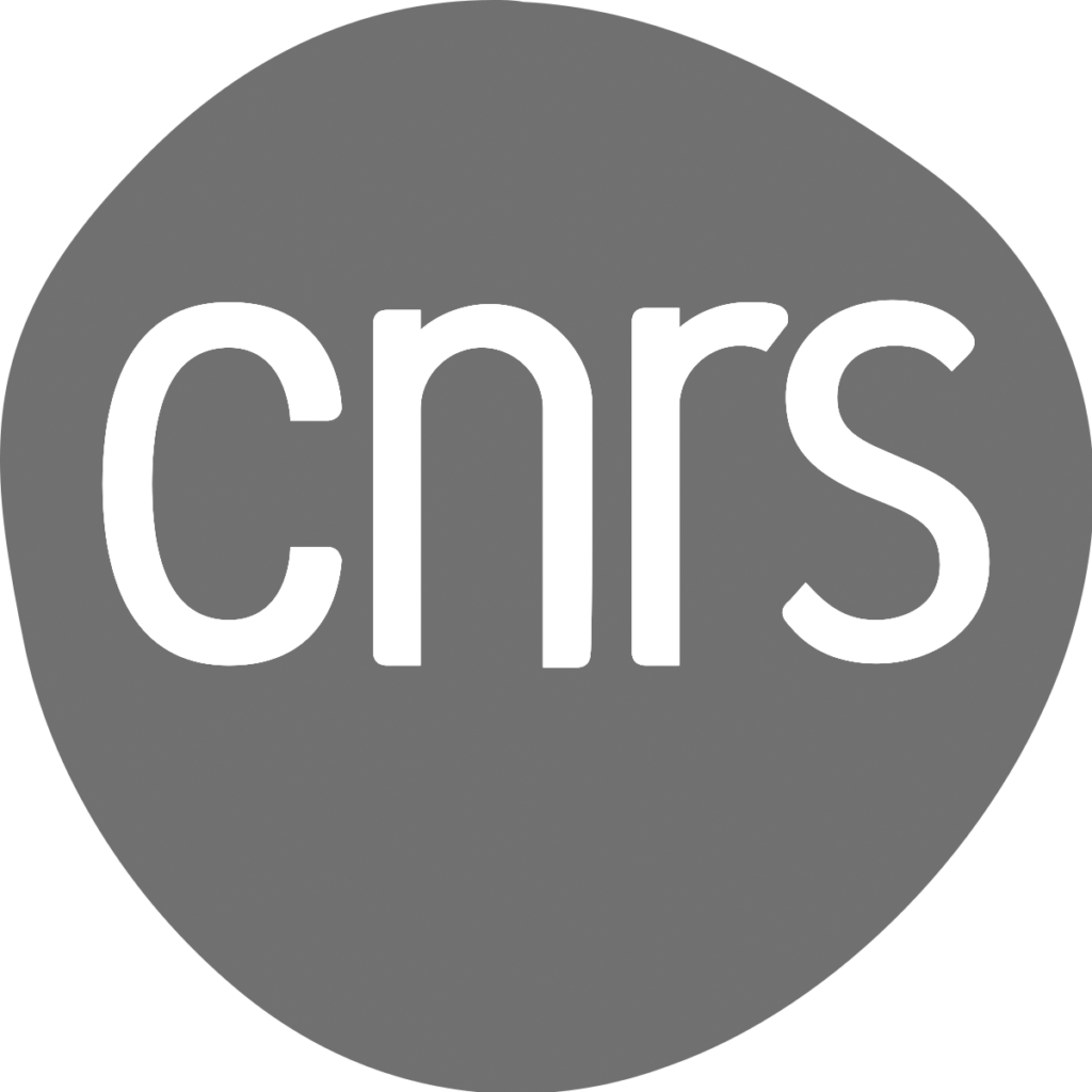 Logo du CNRS, gris, sur fond transparent pour illustrer les entreprises avec lesquelles Bertrand Perret travaille.